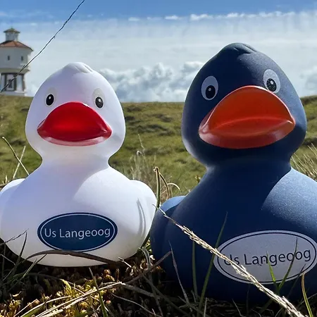 Apartman Luett Knuut Langeoog